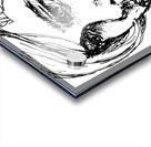 PSX 20240831 201642 Acrylic print