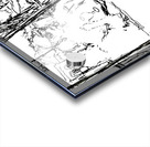 PSX 20240826 144415 2 Acrylic print