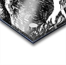 PSX 20240821 235939 3     Beginning of 8th batch. Acrylic print