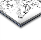 20241126 230752 4 Acrylic print