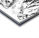 20241126 230845 3 Acrylic print