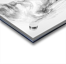 PSX 20241116 231342 Acrylic print