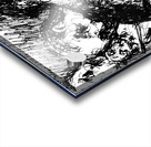 20241126 234338 3 Acrylic print