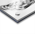 PSX 20241117 014050 Acrylic print