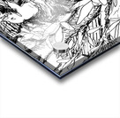 Porch Nap     20240521 220124 2 EDIT Acrylic print