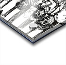 20241203 020853 2 Acrylic print