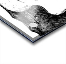 PSX 20250102 221828 3 Acrylic print