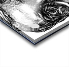 PSX 20241216 032323 Acrylic print