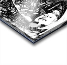 PSX 20241217 000659 7 Acrylic print