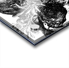 PSX 20250126 045230 Acrylic print