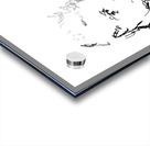 PSX 20250123 231330 Acrylic print