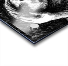 PSX 20241218 003550 4 Acrylic print