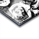 PSX 20250209 013035 Acrylic print