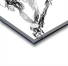 PSX 20241225 041452 Acrylic print