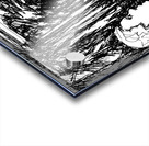 PSX 20250121 045707 2 Acrylic print