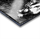 PSX 20241225 041629 Acrylic print