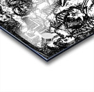 PSX 20250122 214243 12 Acrylic print