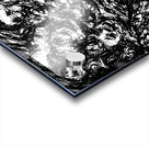 20240315 001943 3 Acrylic print