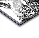 PSX 20240721 234953 Acrylic print