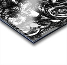 PSX 20240824 231713 Acrylic print