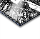 20240520 015640 4 Acrylic print