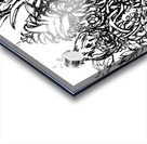 PSX 20250224 225638 Acrylic print