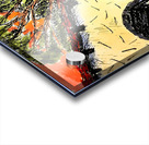 20240102 094652 3 Acrylic print