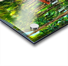 PSX 20250225 221700 Acrylic print