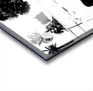 Hooptie - black and white -  PSX 20250302 042229 Acrylic print