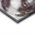 Sketch Portrait | Marc Melis Acrylic print