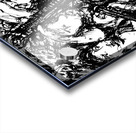 PSX 20250323 002447 Impression Acrylique