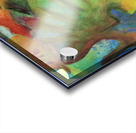 Abstract Mango 1 Acrylic print