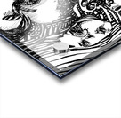 PSX 20250411 002754 Acrylic print