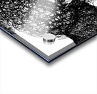 PSX 20250416 002941 Acrylic print