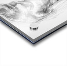 PSX 20241116 231342 Acrylic print