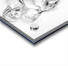 PSX 20241116 235901 Acrylic print