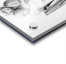 PSX 20241115 005456 Acrylic print