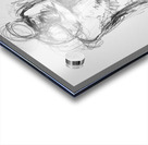 PSX 20241116 221327 Acrylic print