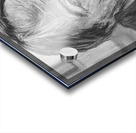 Melis   Portrait Man 9x12 Mark Melis   20230614 Acrylic print