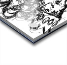 Temporary PSX 20250521 014801 Acrylic print