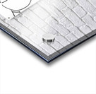 Temporary  PSX 20250601 004028 Acrylic print