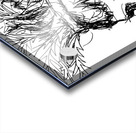  Temporary PSX 20250521 014520 Acrylic print