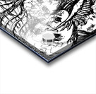 Temporary  PSX 20250515 001835 Acrylic print