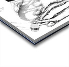 PSX 20250224 153401 Acrylic print