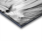 PSX 20240722 225238 Acrylic print