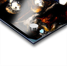 PSX 20250716 162652 Acrylic print