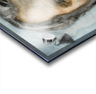 PSX 20250716 123057 Acrylic print