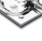 20250103 210736 3 Acrylic print