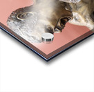 20241021 172033 Acrylic print