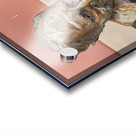 1000018756 Acrylic print